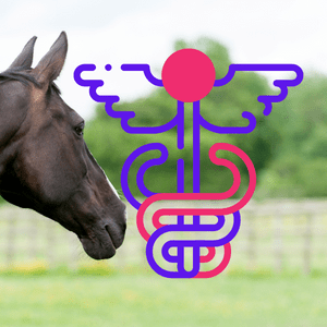 Equestrian Phamacy of EqueVets • ايكويفيتس